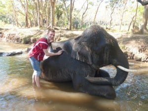 Dodo Patara Elephant Farm