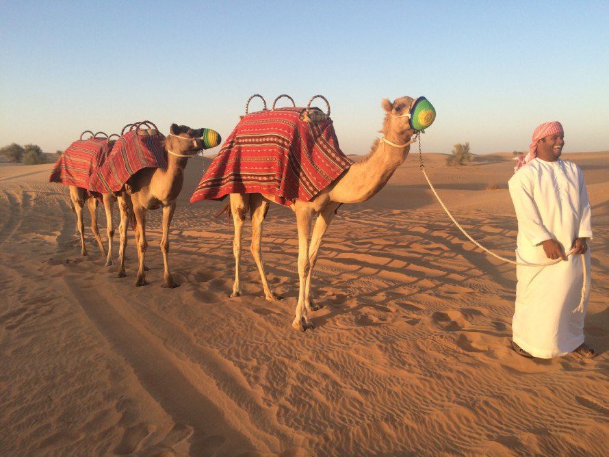 Best desert safari in Dubai
